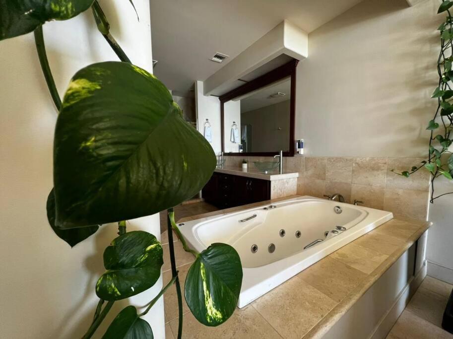 Access - Beach Penthouse Papas And Beer 2 Miles Wifi Rosarito Ngoại thất bức ảnh