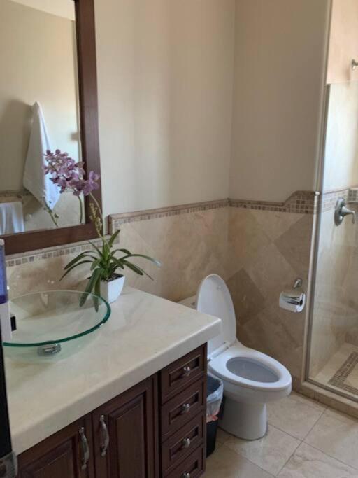 Access - Beach Penthouse Papas And Beer 2 Miles Wifi Rosarito Ngoại thất bức ảnh